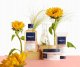 Alkotest PHYTO_Colour Pro Longing Mask maska do włosów farbowanych 200ml 2