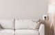 Gosund Inteligentne gniazdko WiFi/Bluetooth Gosund SP6 16A USB-C 20W Tuya 6