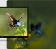 Telewizor Kivi KIVI 24H760QW 7