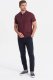 Ombre T-shirt męski polo z ozdobnymi guzikami - bordowy V6 S1744 S 4