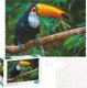 Dodo Puzzle "Tukan" 500 Elementów Układanka Kolorowa Zestaw Dla Dzieci Dorosłych 1