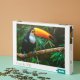 Dodo Puzzle "Tukan" 500 Elementów Układanka Kolorowa Zestaw Dla Dzieci Dorosłych 2