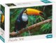 Dodo Puzzle "Tukan" 500 Elementów Układanka Kolorowa Zestaw Dla Dzieci Dorosłych 3