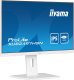 Monitor iiyama ProLite XUB2497HSN-W2 3