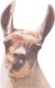 Thumbs Up ThumbsUp! Fenstersticker "Lama" 1