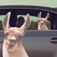Thumbs Up ThumbsUp! Fenstersticker "Lama" 2