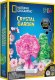 National Geographic NATIONAL GEOGRAPHIC Zestaw Kryształowy Ogród, zabawka kreatywna 1