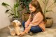Tm Toys TM Toys Puppy Luv Interaktywny piesek Labrador Meggy DKO0877 5