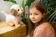 Tm Toys TM Toys Puppy Luv Interaktywny piesek Labrador Meggy DKO0877 7