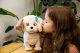 Tm Toys TM Toys Puppy Luv Interaktywny piesek Labrador Meggy DKO0877 9