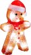 Dekoracja świąteczna Fééric Lights and Christmas Dekoracja świąteczna LED, ludzik z piernika, 21 cm 1