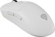 Mysz Genesis Zircon 660 Pro  (NMG-2194) 3