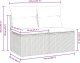 vidaXL vidaXL 4-cz sofa ogrodowa z poduszkami, jasnoszary, rattan PE i akacja 5