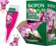 Bopon BOPON - Eliksir do storczyków 40ml - disp - 36 szt. 1