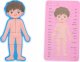 Dreniane Puzzle Anatomia Części Ciała Zabawka Edukacyjna Układanka Chłopiec 7