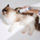 MovaVACUUM CLEANER PET GROOMING/KIT MOVA G1 PRO  PHC10A DREAME 6