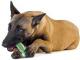 Petstages CrunchCore petite 2