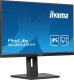 Monitor iiyama ProLite XUB2491H-B1 3