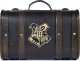 Pyramid Pyramid Harry Potter Walizka Zestaw Premium (Trouble Finds Me) 1