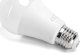 Aigostar  Żarówka LED A60 E27 8W RGB LED A60 E27 8W RGB 1