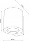 Kinkiet TK Lighting LAMP WALL EVE WOOD GU10 10W 5
