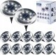 Vilde Lampki Ogrodowe Solarne LED Stalowe Wbijane VILDE 11,5 cm 12 szt. 1