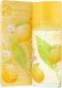 Alkotest Elizabeth Arden Green Tea Citron Freesia Edt 100ml 1