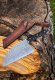 Dellinger Nóż Dellinger BBQ Zed One Serbski 195 mm [K-H35] 36