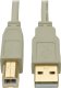 Kabel USB Tripp Lite USB-A - USB-B 1.8 m Beżowy (U022-006-BE) 1