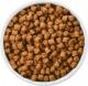 Hills  Prescription Diet k/d Canine 12kg 1