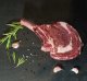 Caso Caso | Dry aging cabinet with compressor technology | DryAged Master 125 | Energy efficiency class Not apply | Free standing | Bottles capacity Not apply | Cooling type Compressor technology | Nerūdijantis plienas 5