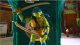 Figurka Playmates WOJOWNICZE ŻÓŁWIE NINJA Figurka 11cm LEONARDO 8