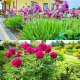 Kadax KADAX Podpora Pergola Roślin Ogrodowa Pierścieniowa Kwiat Hortensji Piwoni 100cm 6