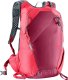Plecak turystyczny Deuter Updays 20 l Ruby-Hibiscus 1