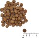VetExpert VetExpert Raw Paleo Healthy Grain Salmon&Barley Puppy - Karma sucha dla psów - 10kg 1