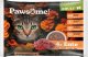 Pawsome Pawsome Adult Ente - kaczka saszetki 4x85g 1