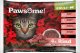 Pawsome Pawsome Adult Rind - wołowina saszetki 4x85g 1
