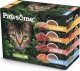 Pawsome Pawsome Multipack saszetki 12x85g 1