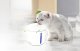 Dogness Inteligentna fontanna/poidło dla psa i kota 1l Dogness (biała) 5
