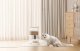 Petsuper Inteligentny dozownik karmy z kamera Petsuper PF01-2 WiFi 5L (biały) 3