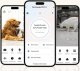 Petsuper Inteligentny dozownik karmy z kamera Petsuper PF01-2 WiFi 5L (biały) 8
