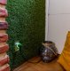 Shelly Inteligentne gniazdko Shelly Plug S MTR Gen3 (biały) 2