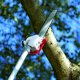 Piła łańcuchowa KASEI KASEI QJB270 OKRZESYWARKA PIŁA PILARKA PRZECINARKA SPALINOWA ŁANCUCHOWA PODKRZESYWARKA DO DREWNA NA TELESKOPOWYM WYSIĘGNIKU 1