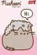 St-Majewski Notes notatnik A6 50 kartek kratka Kot Cat Pusheen 2
