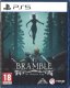Bramble: The Mountain King (PS5) 1