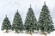 Springos Choinka sztuczna 220 cm Premium Royal Trees sosna diamentowa ośnieżona z szyszkami UNIWERSALNY 9