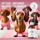 Pets PET FLEX  Preparat na stawy i mobilność dla zwierząt 500ml 2