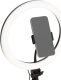 Lampka biurkowa D-Fruit D-Fruit ringlight 12' + stand 1