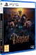 Plaion Gra PlayStation 5 Darkest Dungeon 2 8