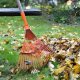 VERGIONIC Grabie metalowe wachlarz na kija duże do trawy liści 38cm 3